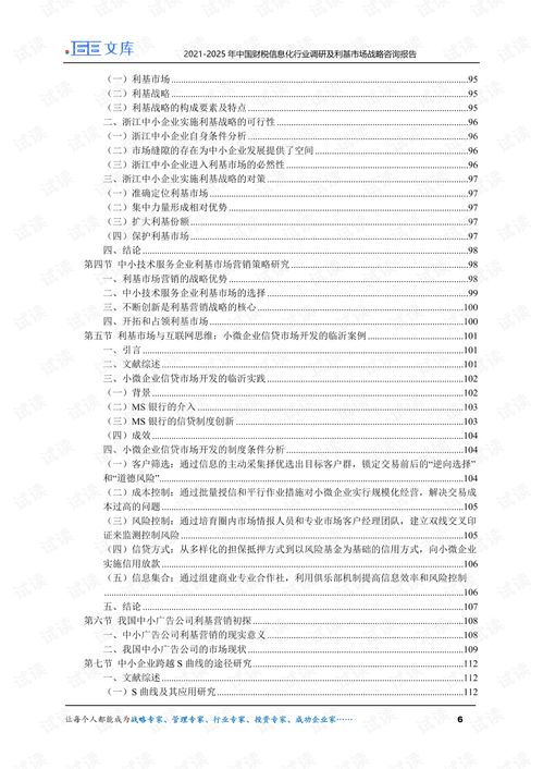2021-2025年中國(guó)財(cái)稅信息化行業(yè)調(diào)研及利基市場(chǎng)戰(zhàn)略咨詢報(bào)告